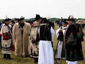 Pásztortalálkozó